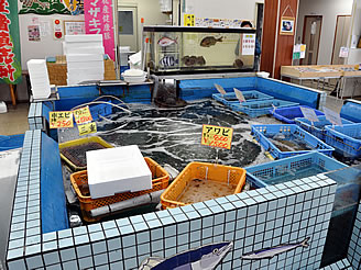 魚魚鈴の外観<span class="footnote-wrapper">[108]</span>“></figure>



<p>魚魚鈴の外観</p>



<p>ちかちゃんがリサーチ不足で食事はできませんでしたが、「魚魚鈴（ととりん）」は、地元で獲れた新鮮な魚介類をお値打ち価格で購入できる人気の直売所です。<br>2009年にオープンし、2010年に「魚魚鈴」という愛称がつけられました。伊勢湾で獲れるコウナゴ、アナゴ、ワタリガニなどの旬の魚介はもちろん、他県の鮮魚や海産物、地元の水産加工品（自家製しらす干しなど）、調味料、干物なども豊富に取り揃えています。<br>特に週末の開店直後は行列ができるほどの人気ぶり。購入した魚は無料で三枚おろしや腹抜きなどの調理もしてくれるので、魚を捌くのが苦手な方でも安心です。<br>営業時間は9:30～13:00（または14:00までの情報も）、定休日は火曜日と水曜日。近鉄白子駅から徒歩約10～15分ほどの白子港内にあります。伊勢参りの行き帰りに立ち寄って、新鮮な海の幸をお土産にするのも良いかもしれませんね。</p>



<figure class=